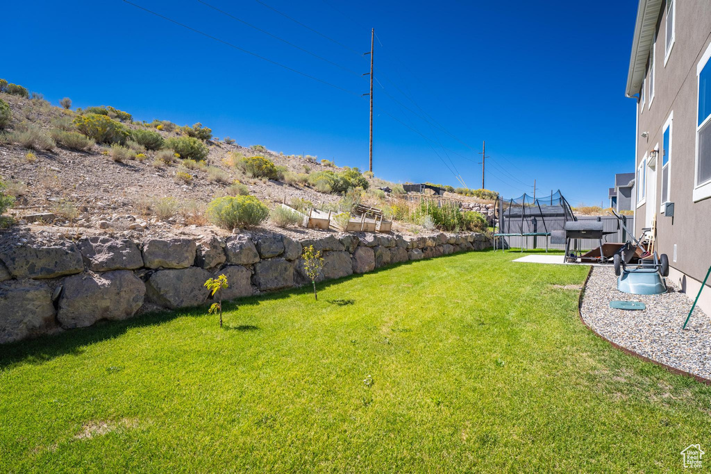 View of yard with a trampoline