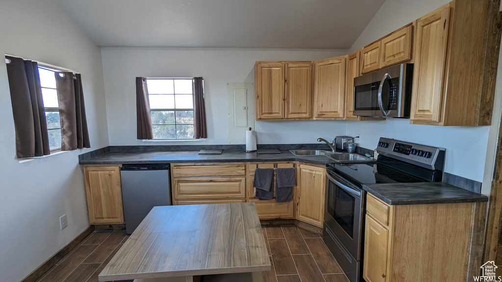 Kitchen with lofted ceiling, dark hardwood / wood-style flooring, appliances with stainless steel finishes, butcher block countertops, and sink