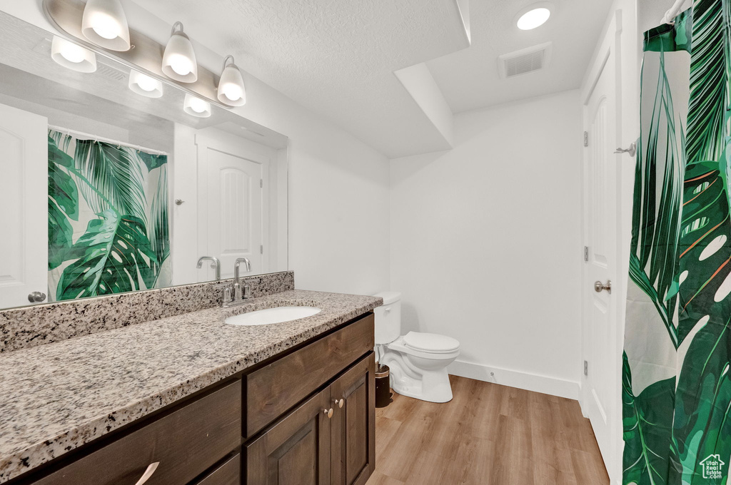 Bathroom featuring large vanity, wood-type flooring, and toilet