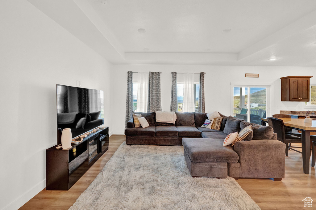 Living room with a raised ceiling and light hardwood / wood-style flooring