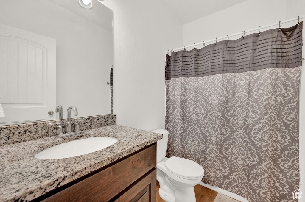 Bathroom featuring wood-type flooring, vanity with extensive cabinet space, and toilet