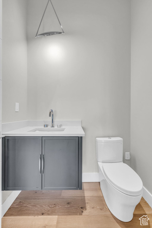 Bathroom featuring vanity, hardwood / wood-style floors, and toilet