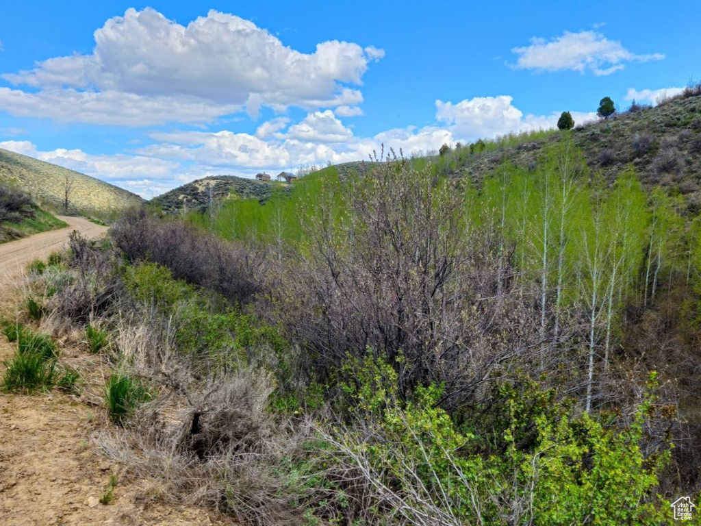 View of mountain view