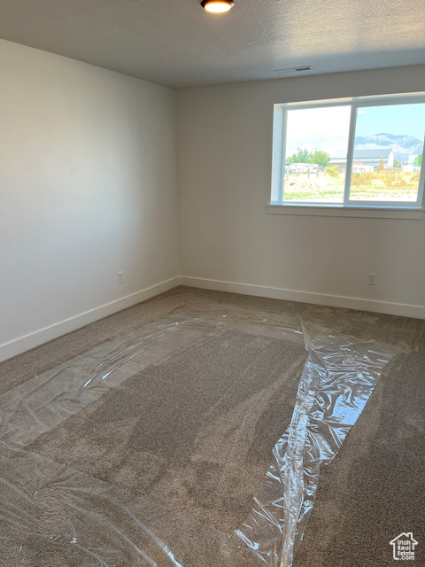 Unfurnished room with carpet flooring and a textured ceiling