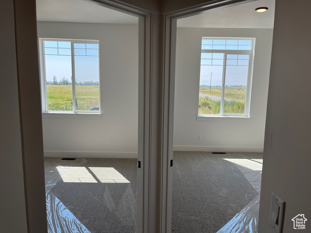 Carpeted spare room featuring a wealth of natural light