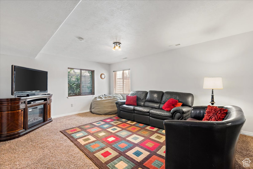 Carpeted living room with a textured ceiling