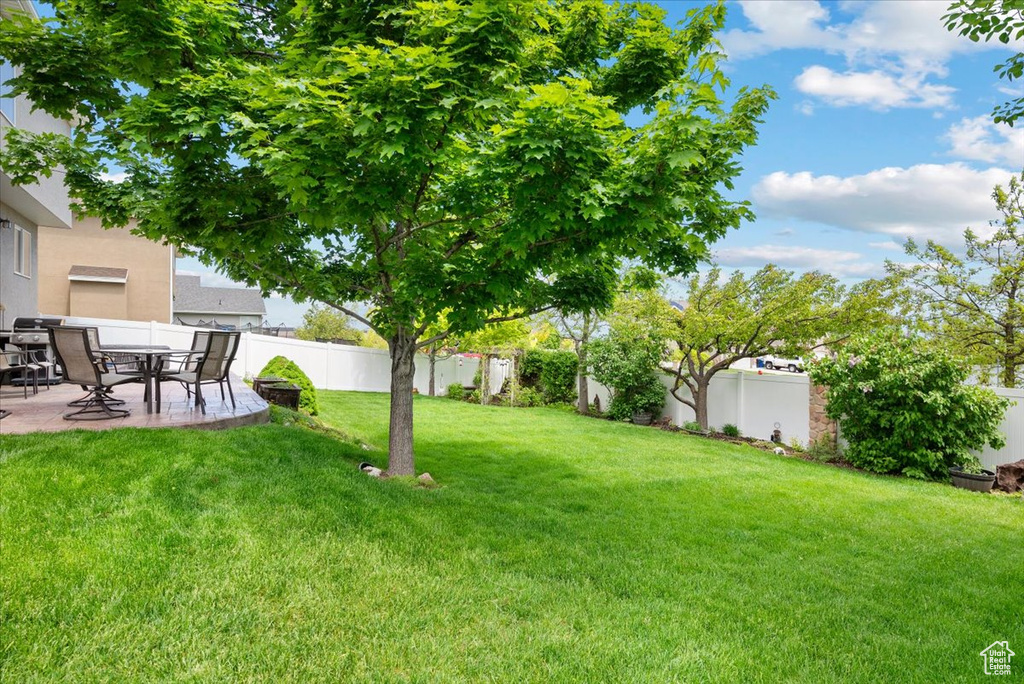 View of yard featuring a patio area