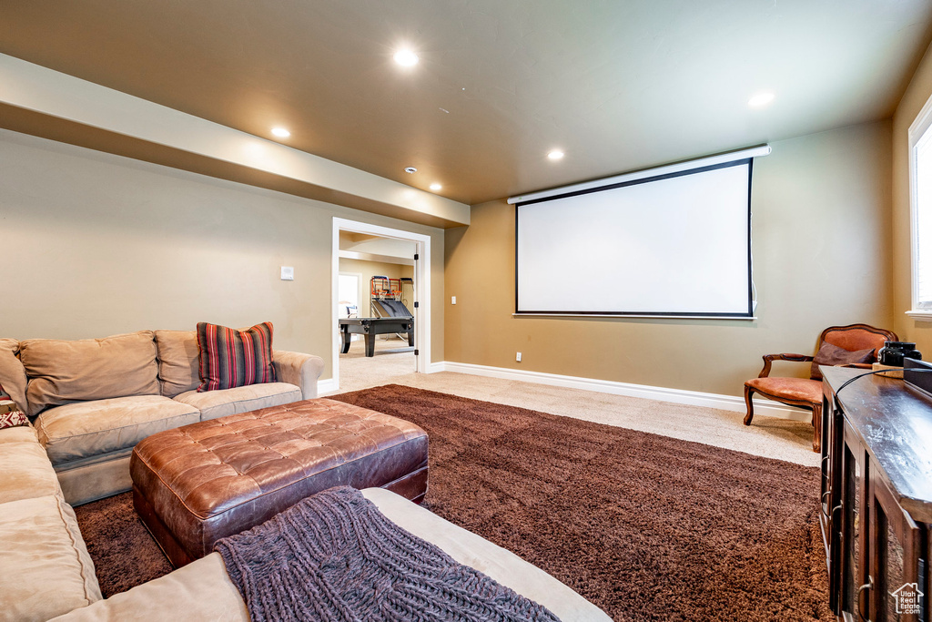 View of carpeted home theater room