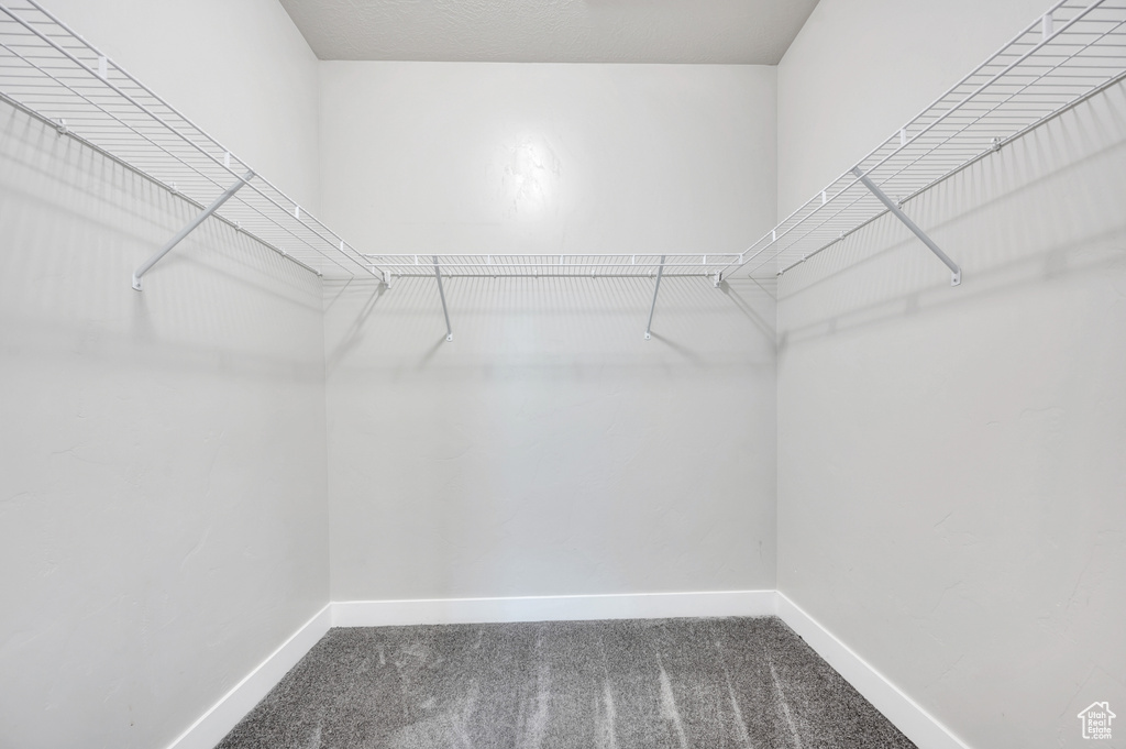 Spacious closet featuring carpet