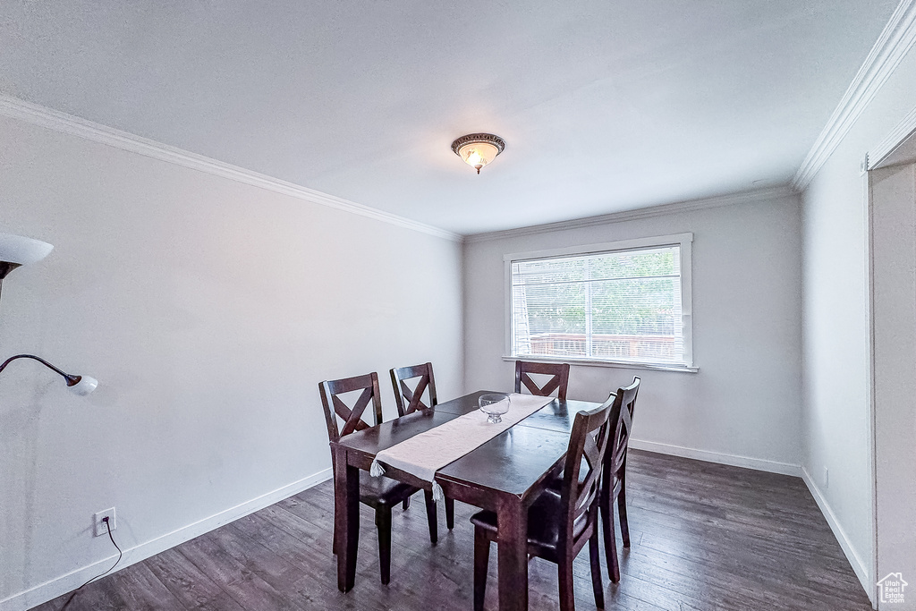 Dining area with dark hardwood / wood-style flooring and crown molding