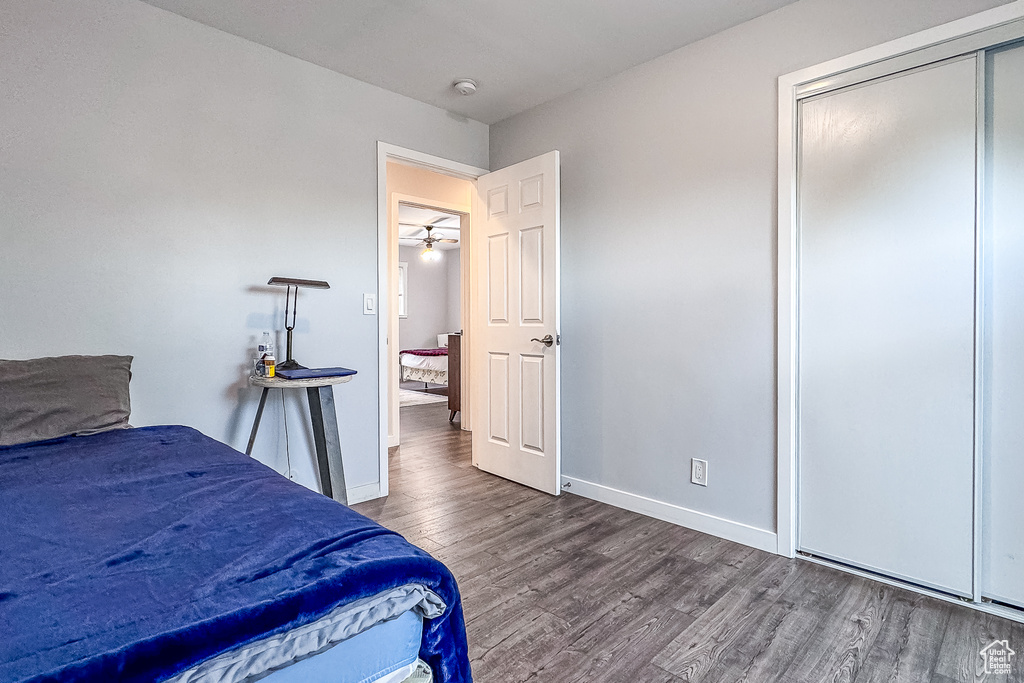 Bedroom with dark wood-type flooring and a closet