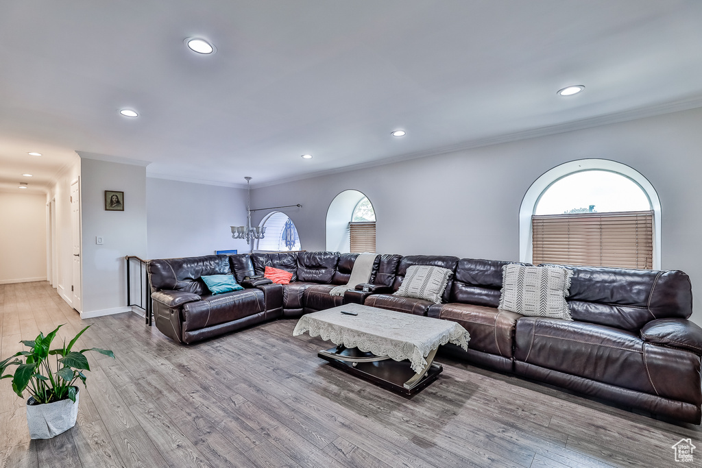 Living room with a healthy amount of sunlight, wood-type flooring, and crown molding