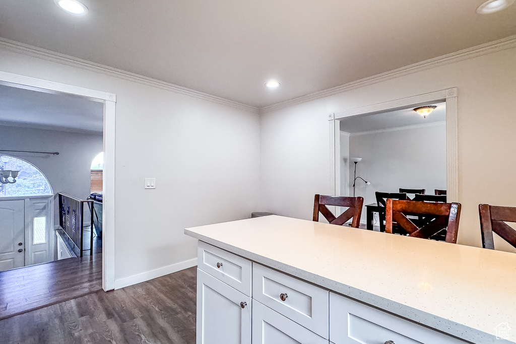 Kitchen featuring dark hardwood / wood-style floors, ornamental molding, and white cabinets