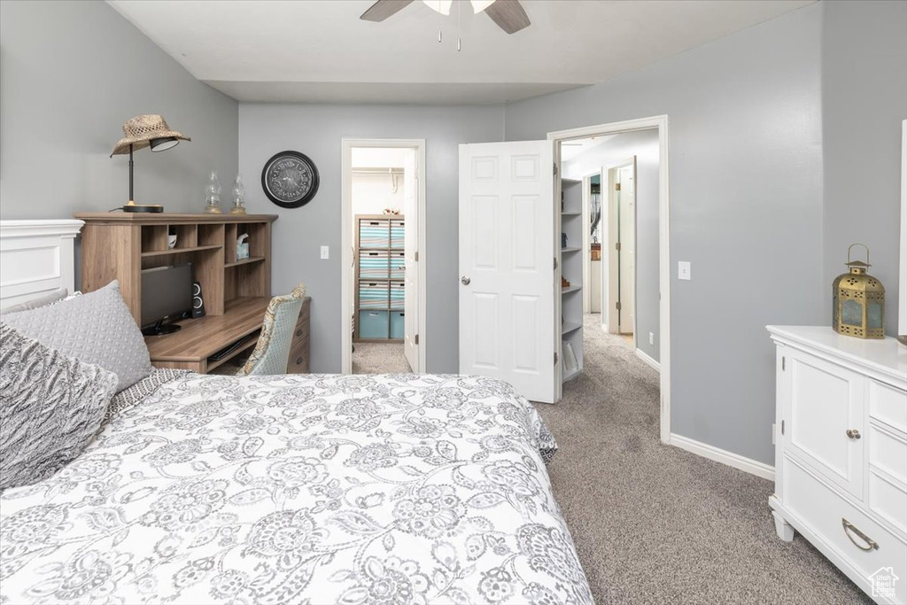 Bedroom with light colored carpet, a walk in closet, and ceiling fan