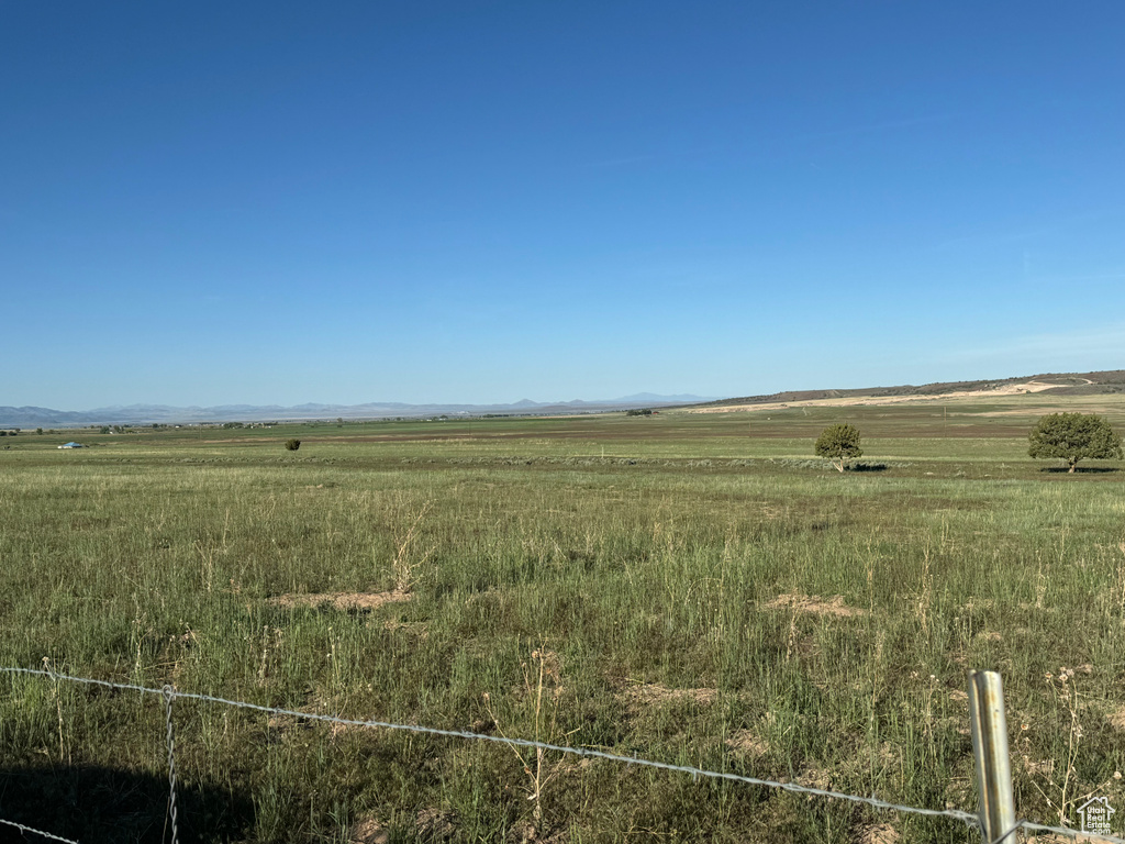 View of local wilderness with a rural view