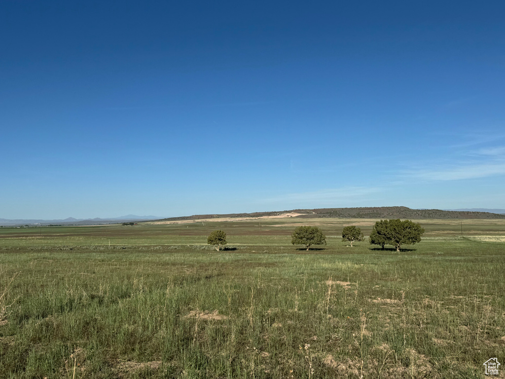 View of local wilderness with a rural view