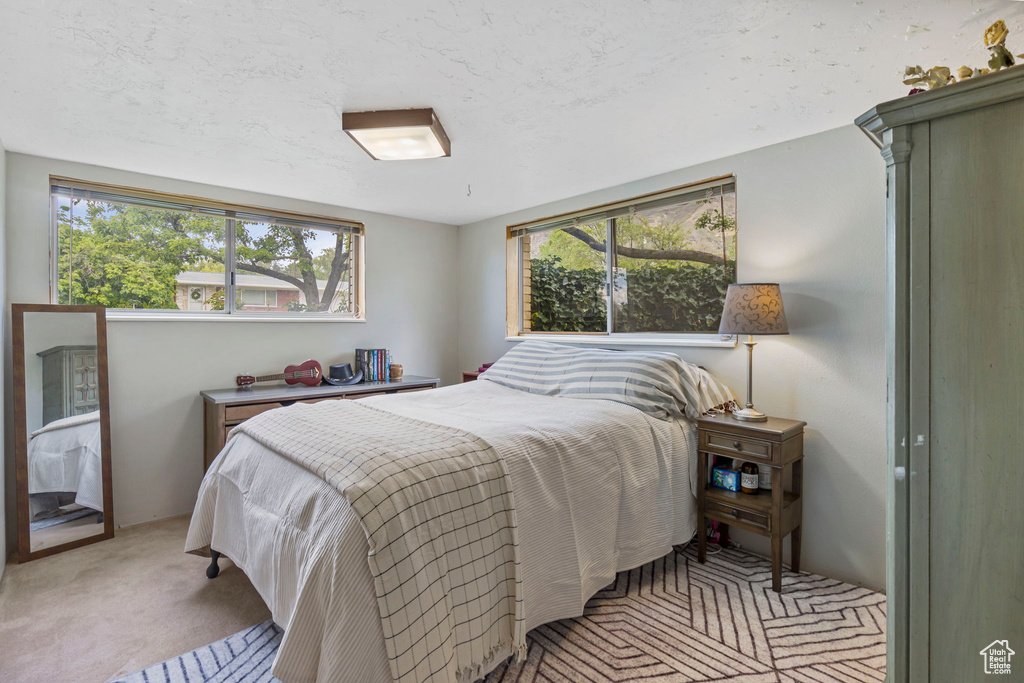 Bedroom with light carpet and multiple windows