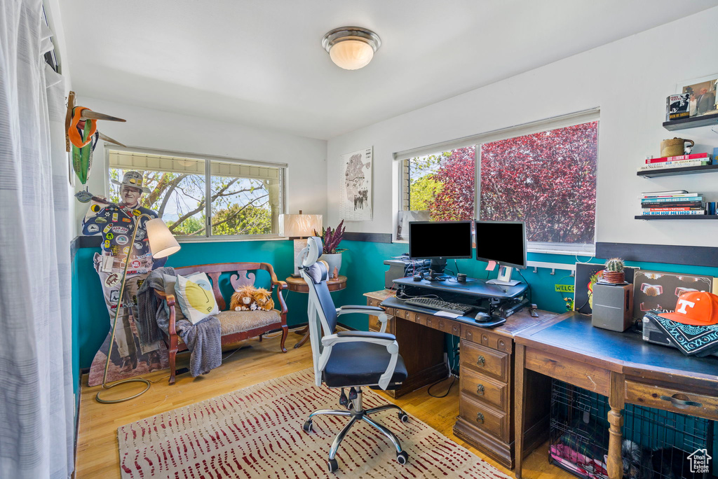 Office area featuring a wealth of natural light and light wood-type flooring