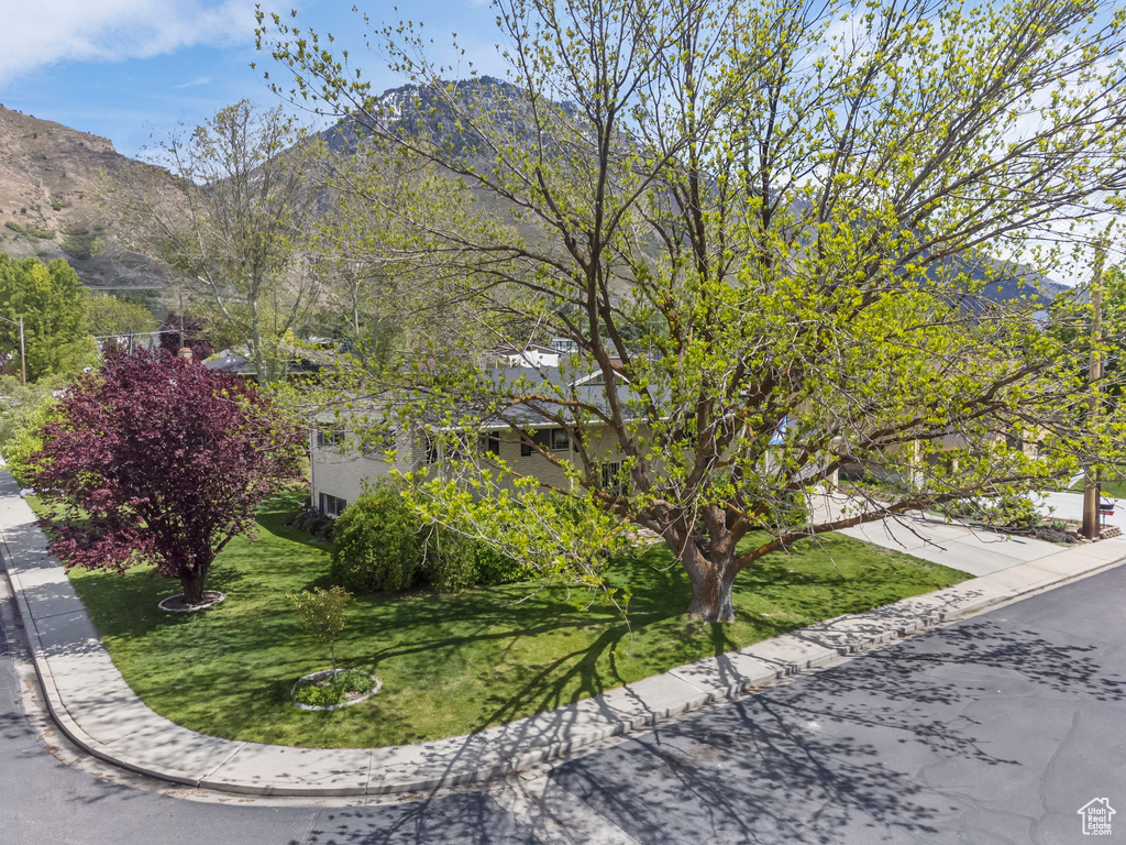 View of front of house with a mountain view and a front lawn