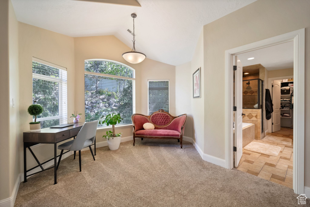 Carpeted office with lofted ceiling