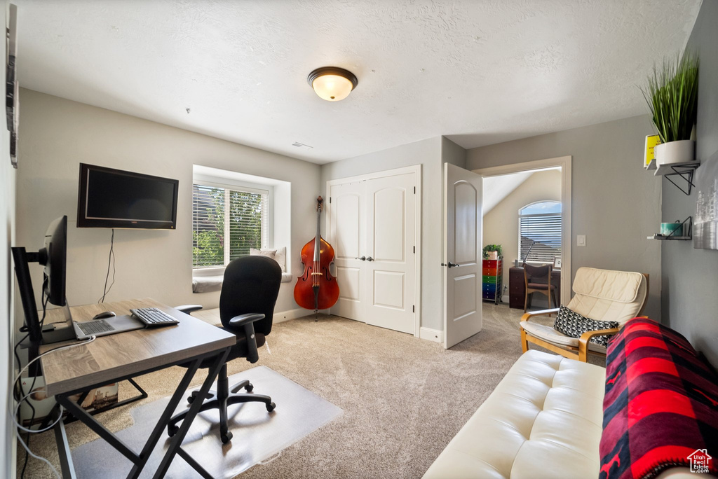 Office space featuring carpet and a textured ceiling