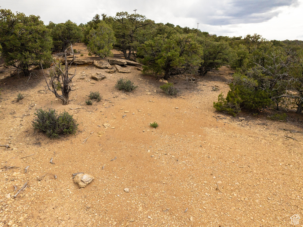 View of local wilderness featuring a rural view