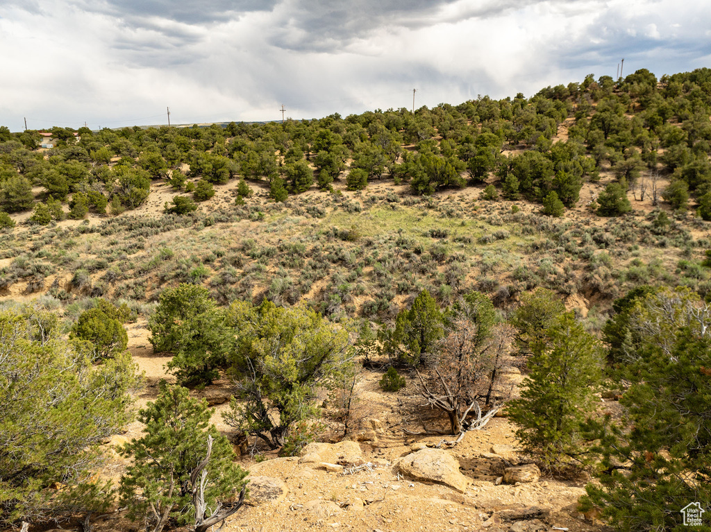 View of mother earth\'s splendor