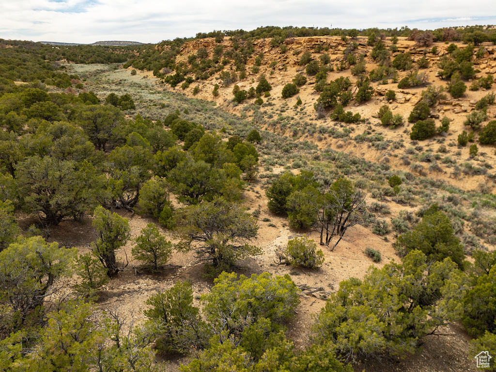 View of drone / aerial view