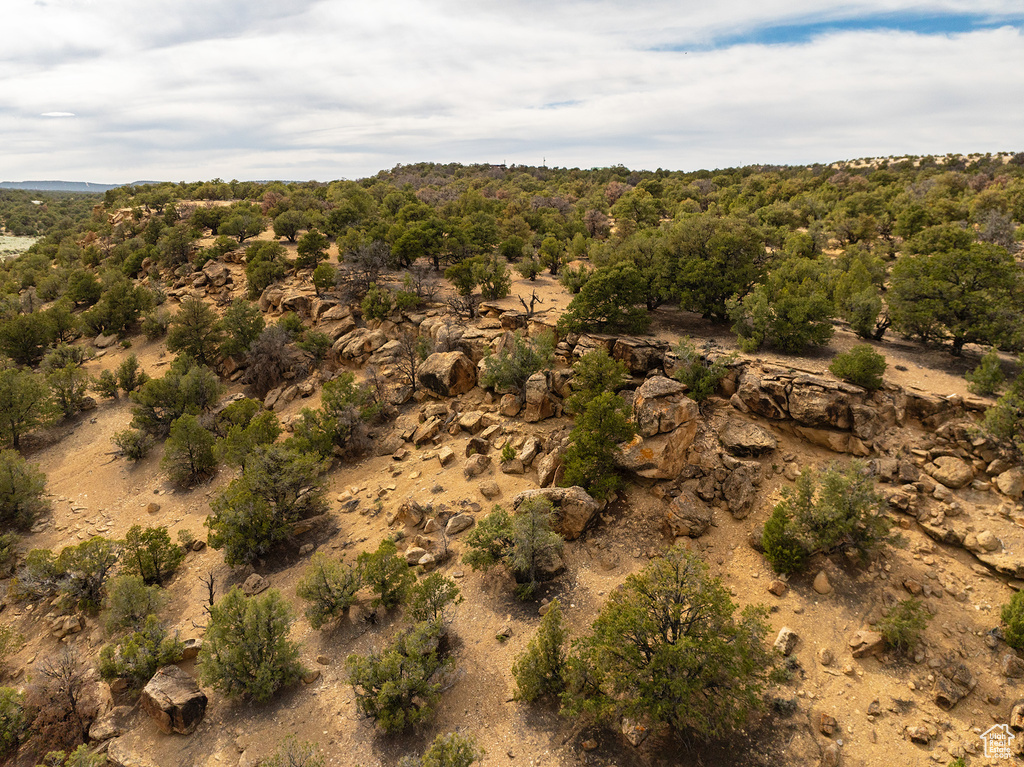 View of drone / aerial view