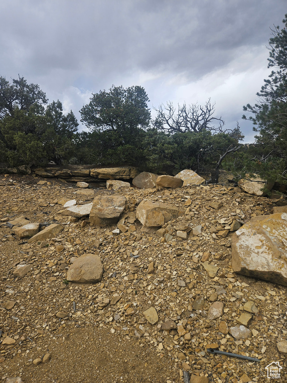 View of local wilderness