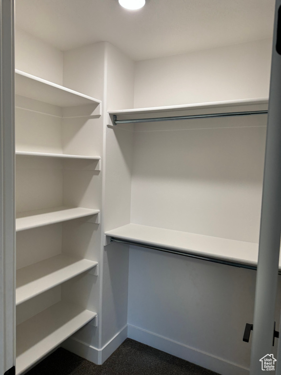 Spacious closet featuring dark colored carpet