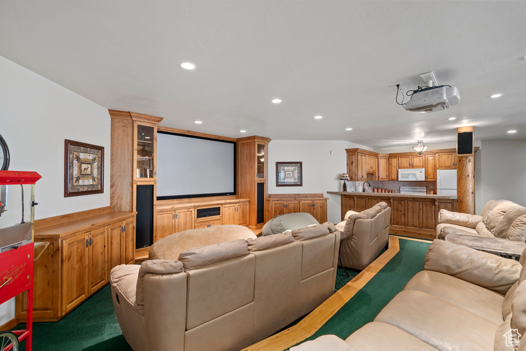 Cinema room featuring sink and carpet flooring