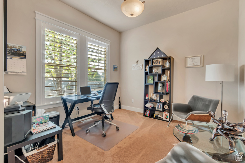 Office space with carpet flooring