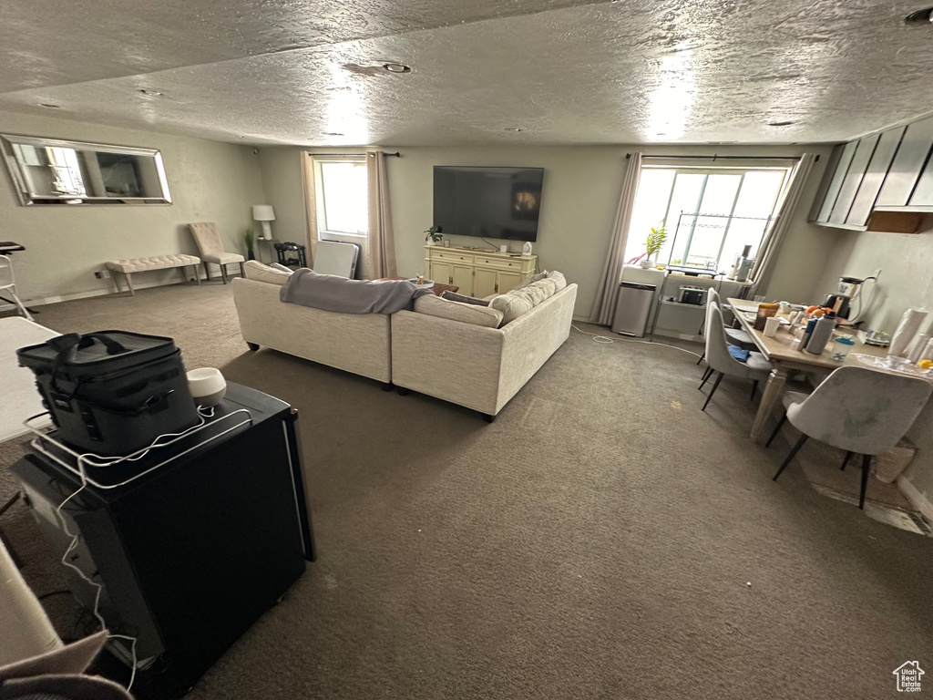 15095 S ALDER LN Draper, UT 84020