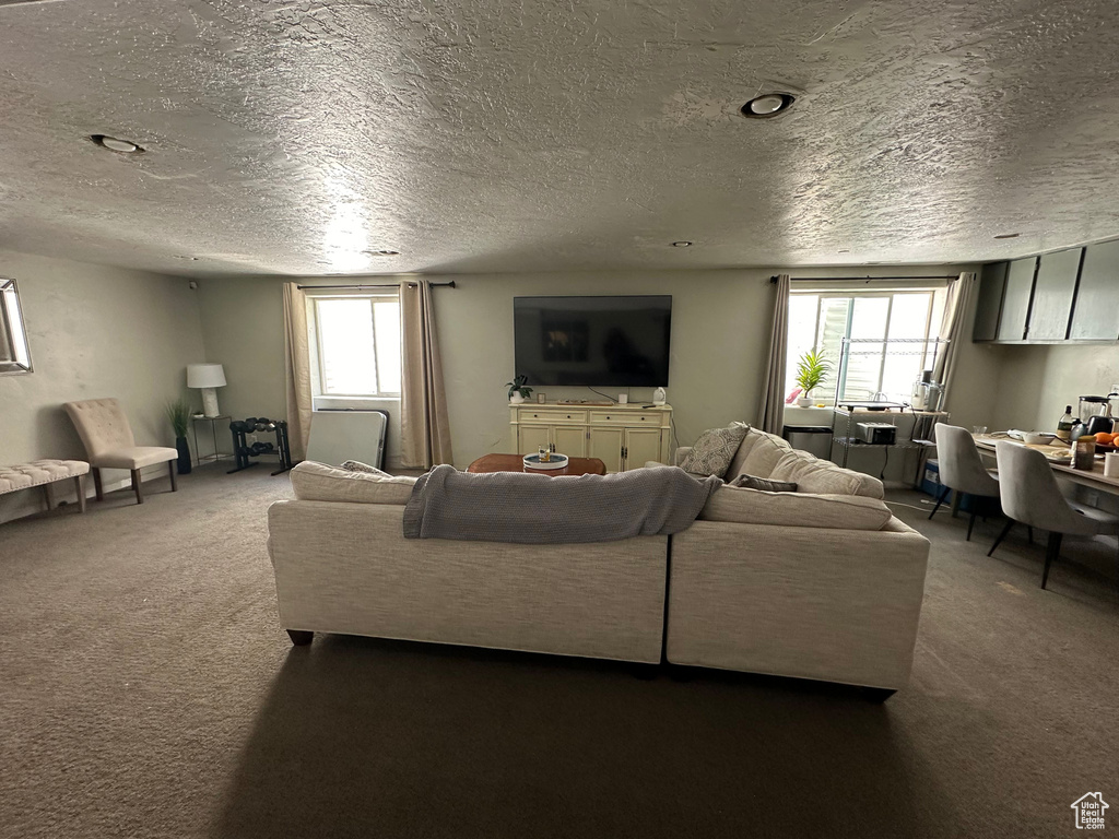15095 S ALDER LN Draper, UT 84020