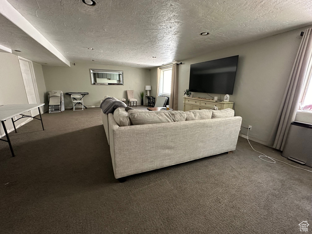 15095 S ALDER LN Draper, UT 84020