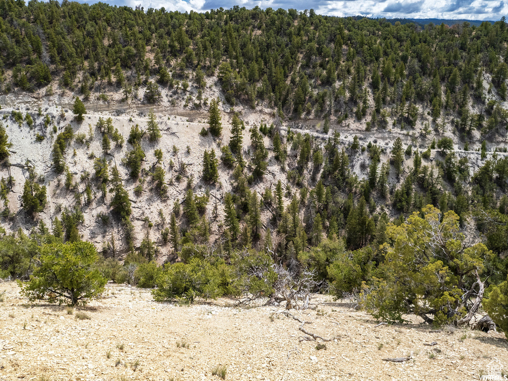 View of bird's eye view