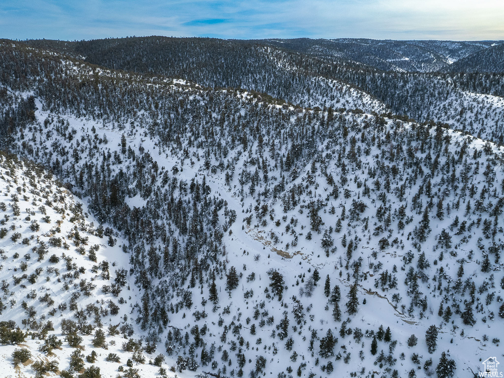 Snowy aerial view with a mountain view