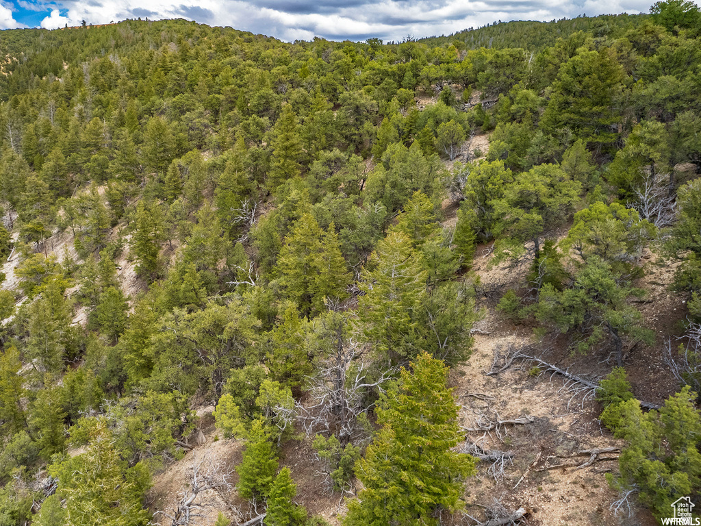 View of drone / aerial view