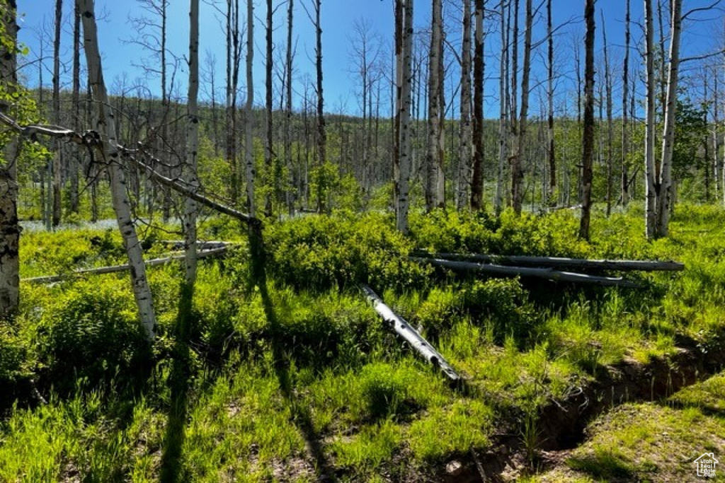 View of mother earth's splendor