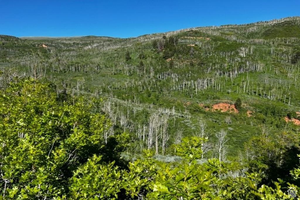 View of mountain feature