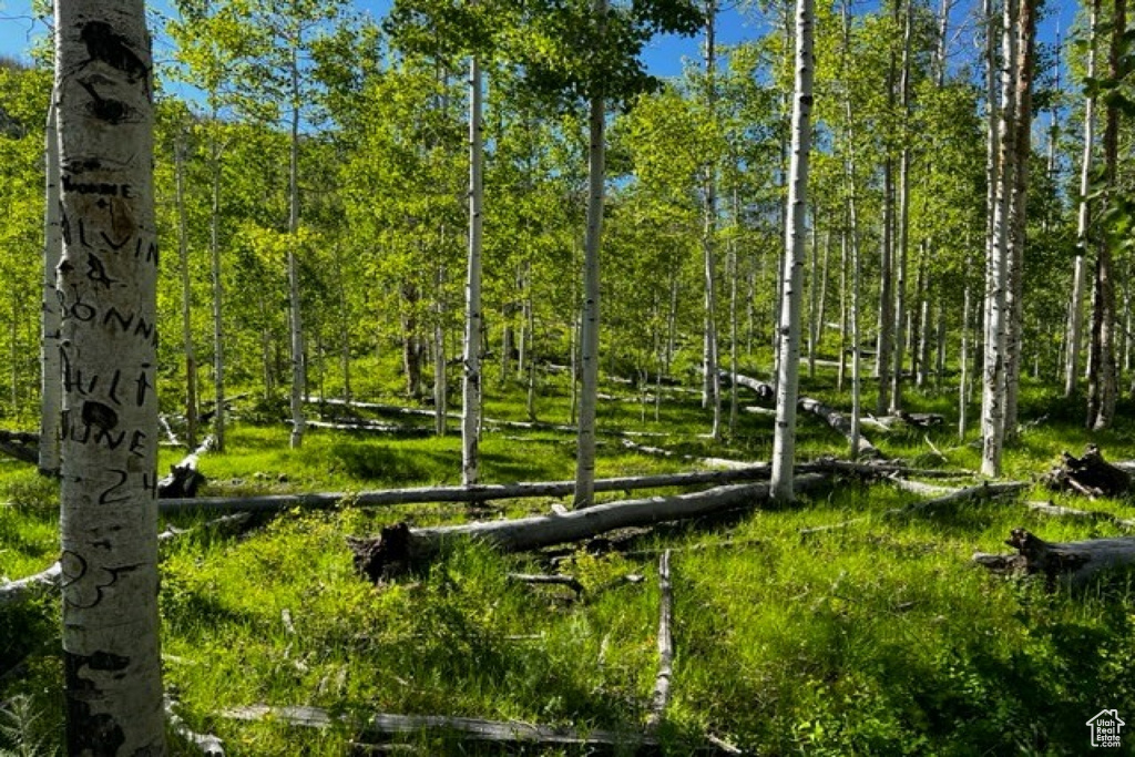 View of surrounding community