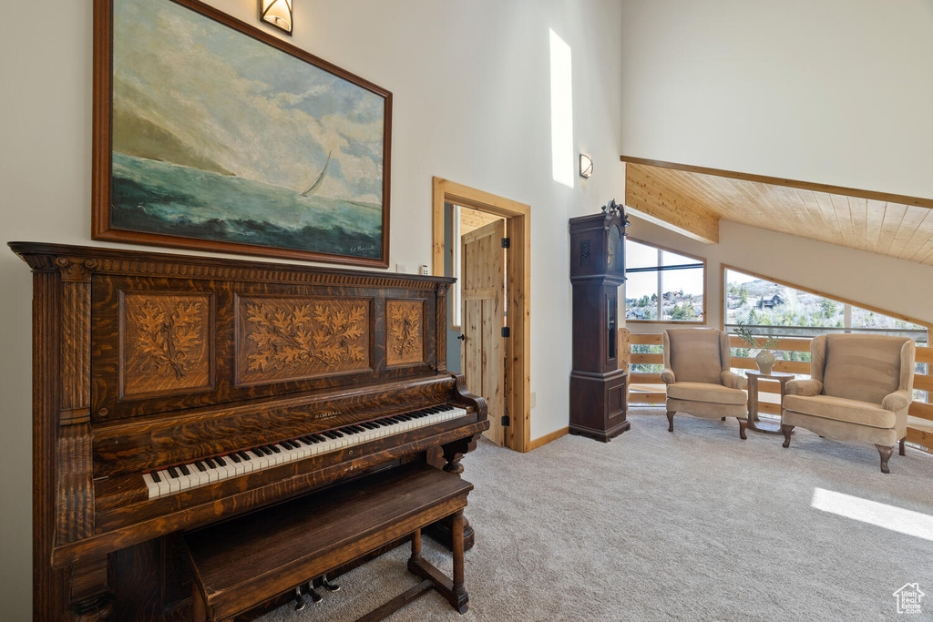 Miscellaneous room with high vaulted ceiling and carpet