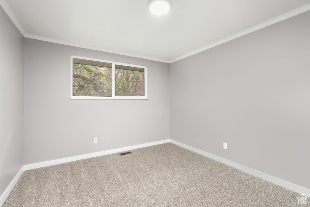 Spare room with carpet and ornamental molding