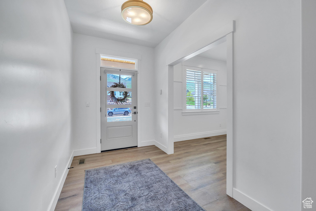 Entrance foyer featuring hardwood / wood-style floors