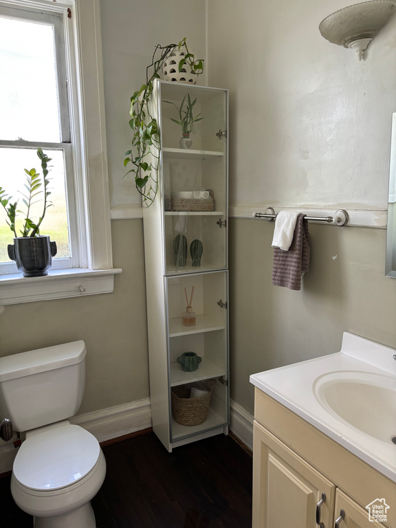 Bathroom with hardwood / wood-style floors, vanity, and toilet