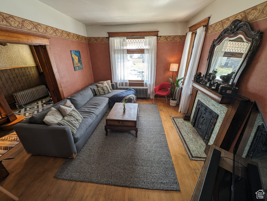 Living room with wood-type flooring and radiator