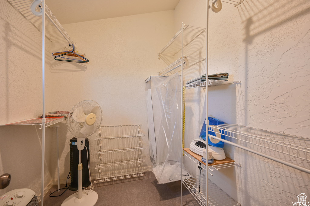 Spacious closet featuring carpet floors