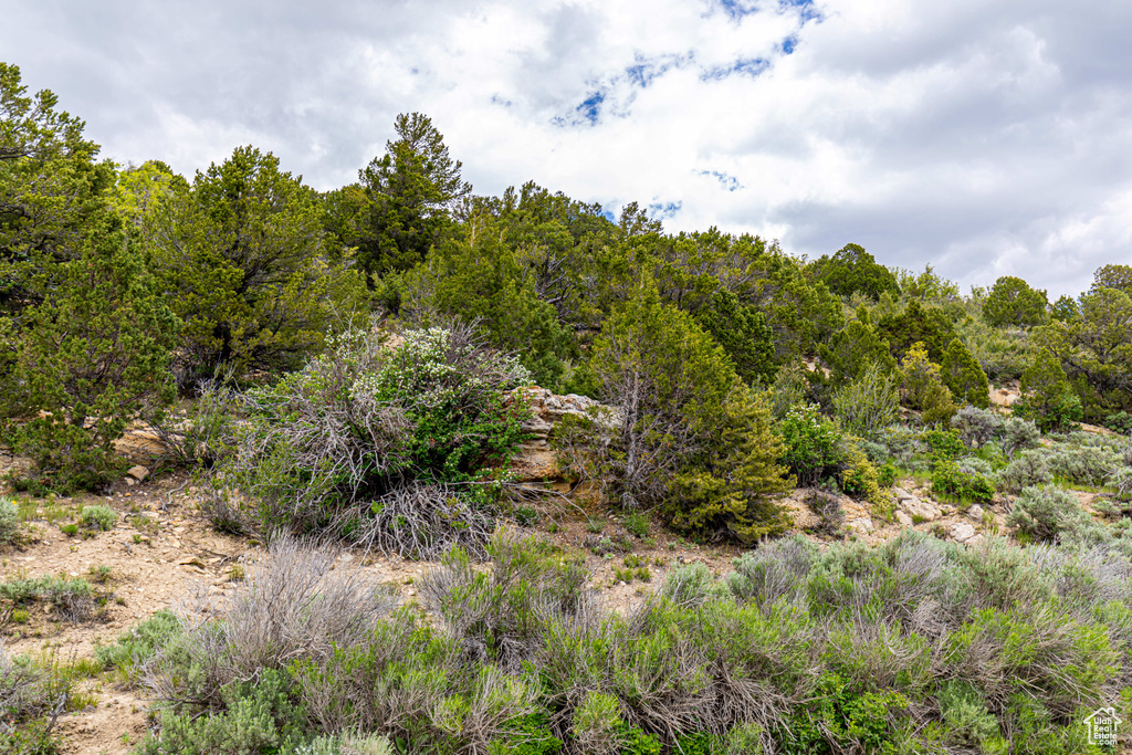 View of nature