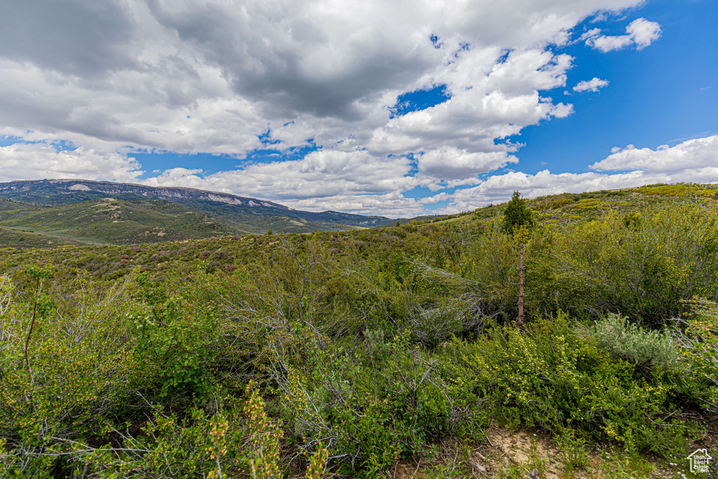 View of mountain view